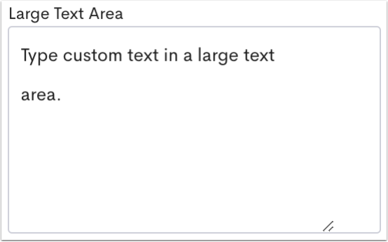An example Large Text Area field.