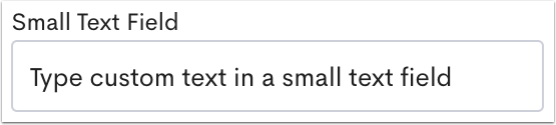 An example Small Text Field.