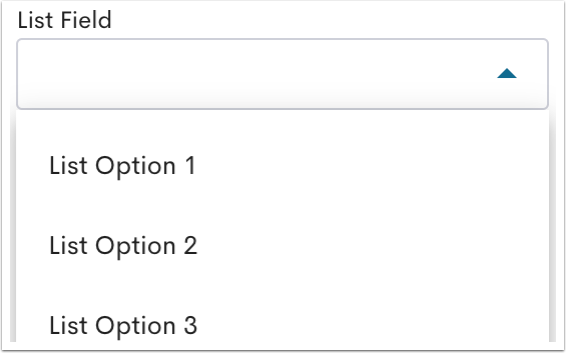 An example List Field.